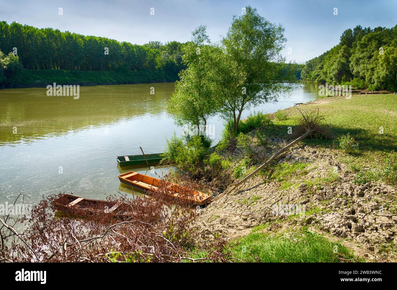Hungary, Tiszadada in summer: wooden boats rest along the River Tisza's shore, embraced by trees, a picturesque scene in the summertime Stock Photo
