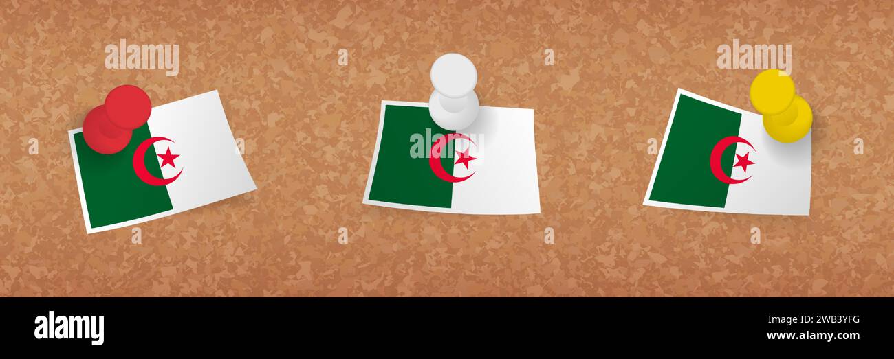 Algeria flag pinned in cork board, three versions of Algeria flag. Vector pushpins and flag set. Stock Vector