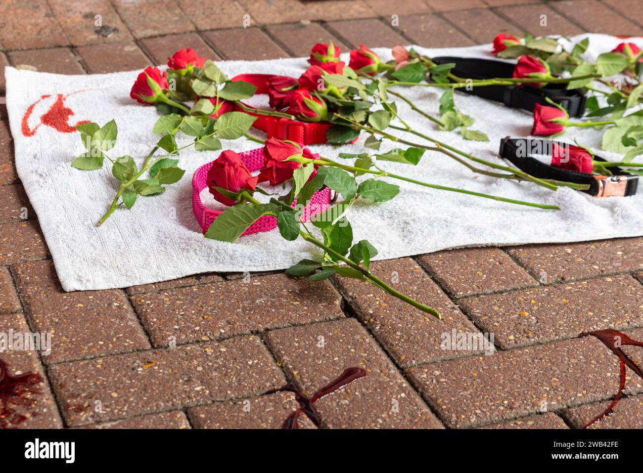 Protest in Southend’s High Street against the government’s ban on XL Bully dogs with a 'memorial' created from dog collars, red roses and fake blood Stock Photo