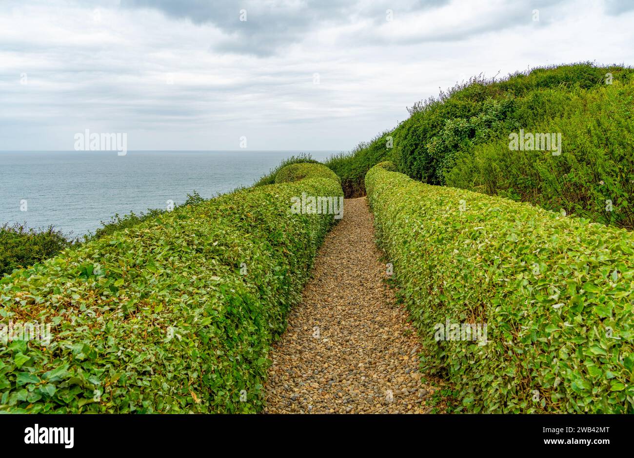 Coastal park scenery with green bushes and hedges around a footpath at ...