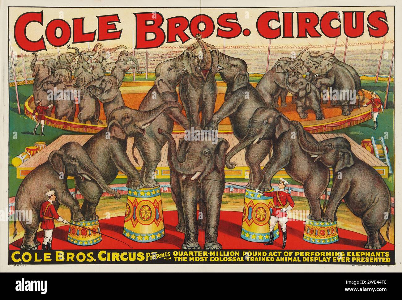Circus Poster (Cole Brothers, 1930s) feat circus elephants Stock Photo