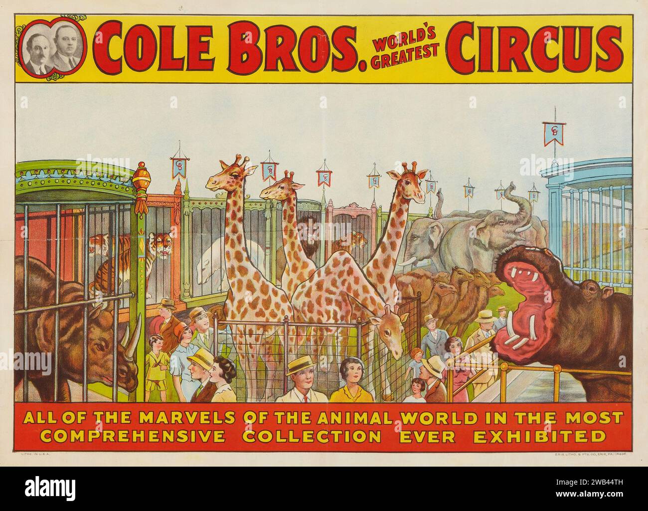 Circus Poster (Cole Brothers, 1930s) feat circus animals - all of the marvels of the animal world Stock Photo