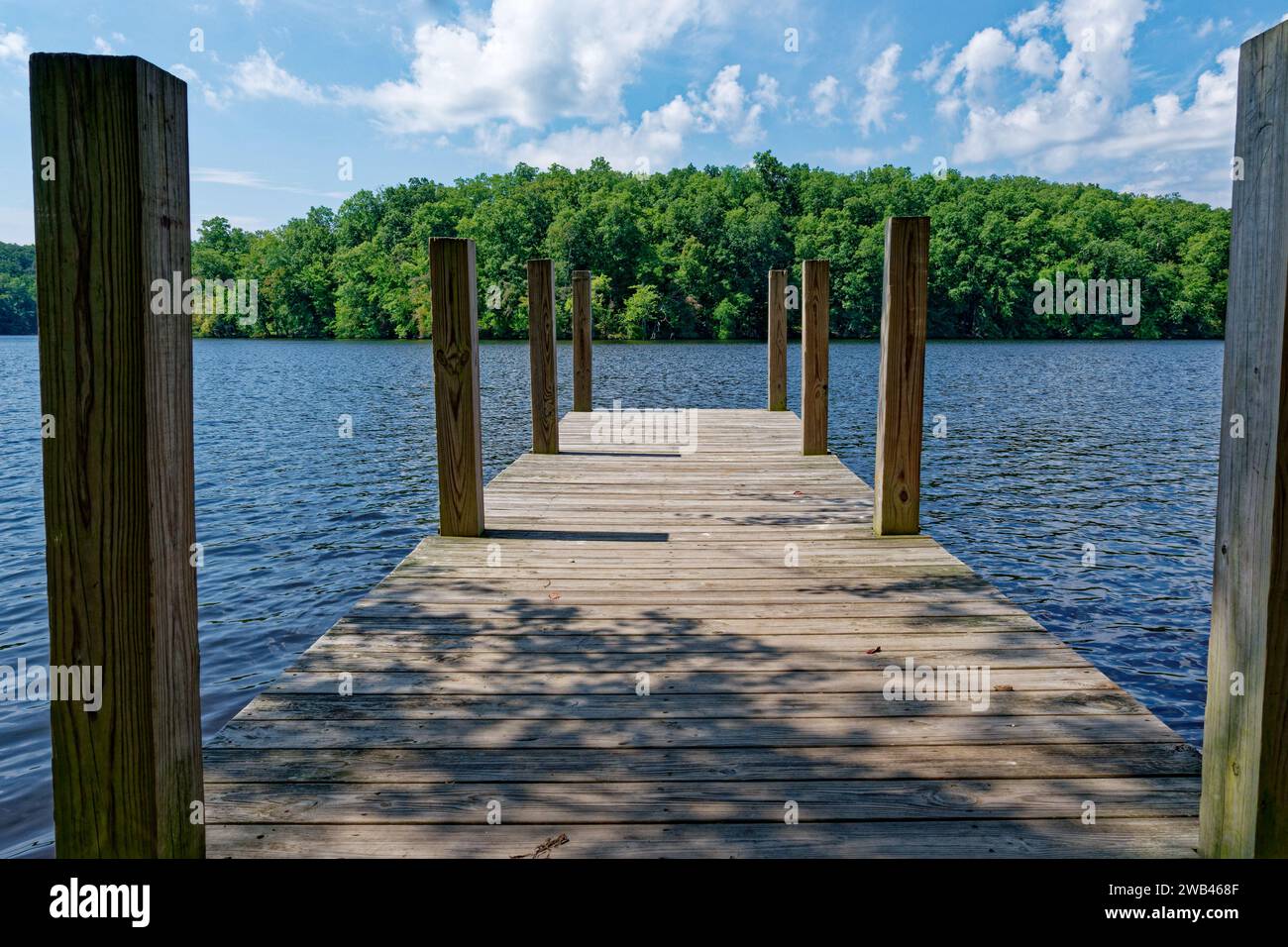 Standing on the wooden dock looking out at the lake with the forest in the background at a park on a sunny day in late summertime Stock Photo