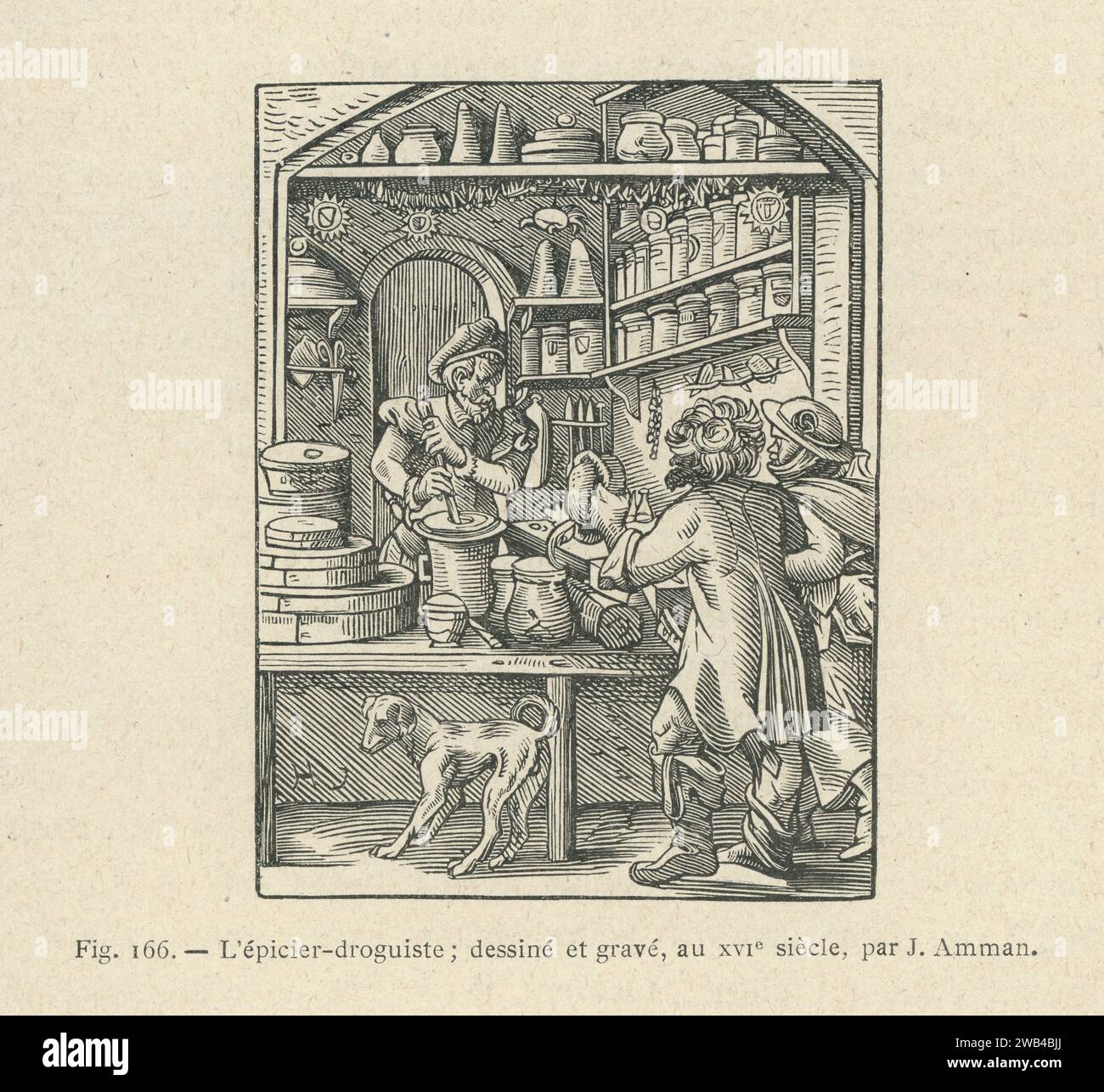 The grocer-drugst's trade in the 16th century. Engraving by Jost Amman ...