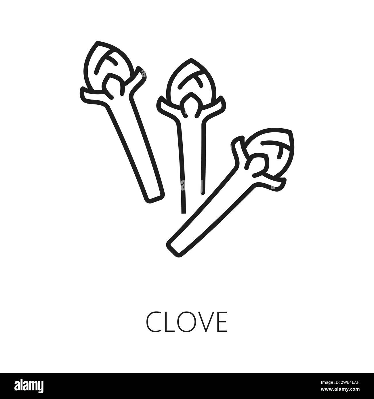 Cloves fruit herb spice seasoning condiment isolated outline icon