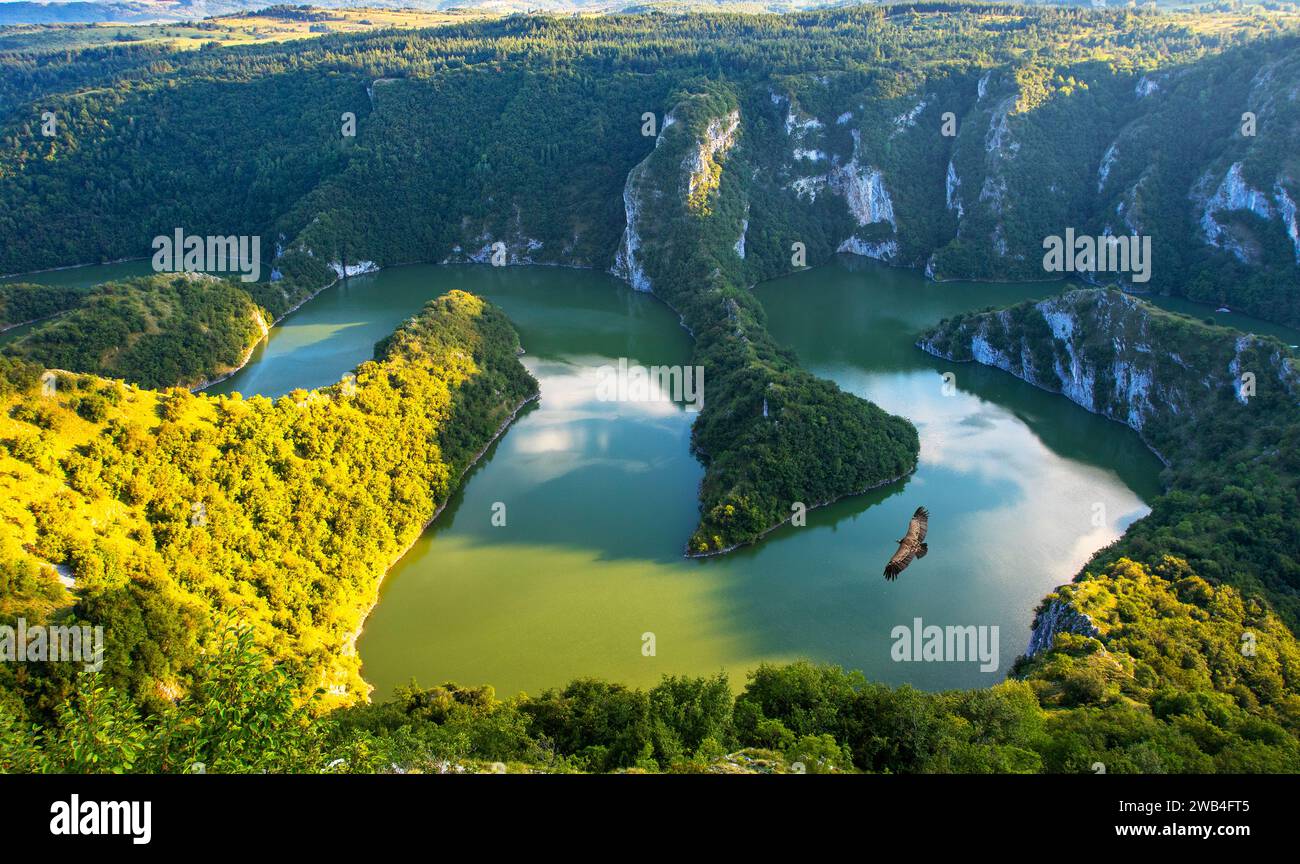 Uvac Special Nature Reserve Uvac Canyon In Southwestern Serbia And Uvac Special Nature Reserve Uvac Canyon In Southwestern Serbia And