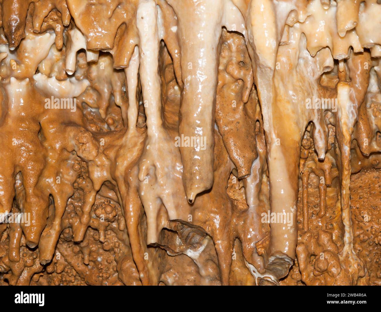 Limestone stalactites and stalagmites in Koneprusy caves, Czech republic Stock Photo