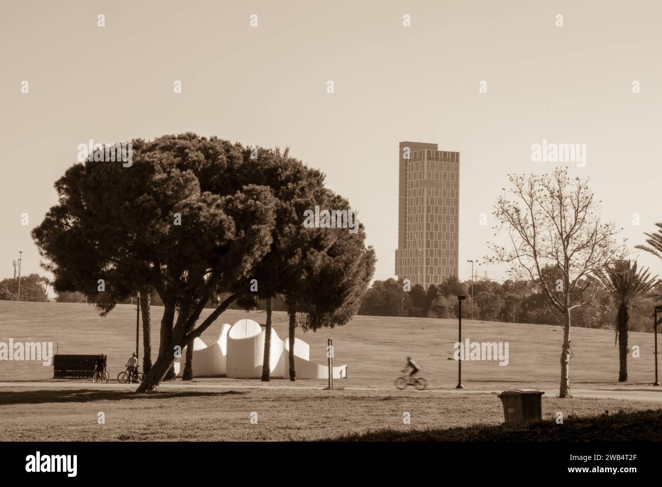 A large park in the city center with wide green lawns, bike ,walking and jogging paths. In the background are the office towers of the city. Stock Photo