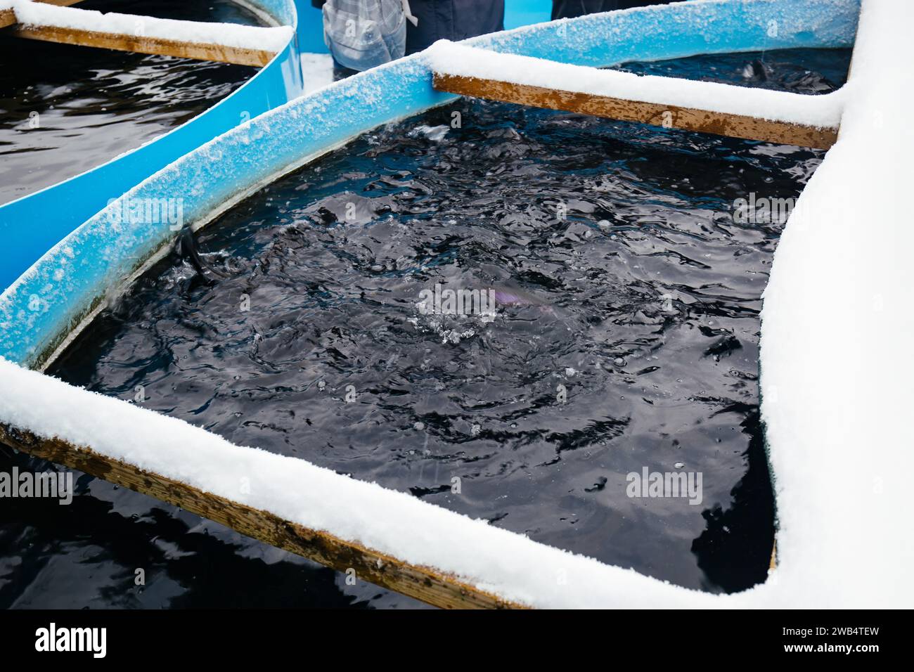 Winter aquaculture ponds with heating Stock Photo Alamy