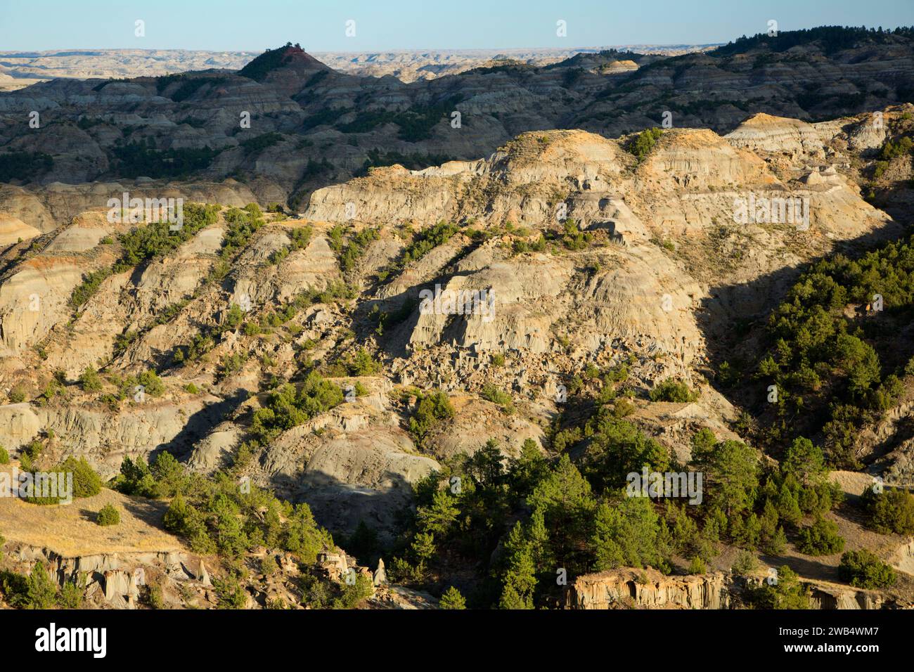 Badlands from Kinney Coulee Trail, Makoshika State Park, Montana Stock Photo Alamy