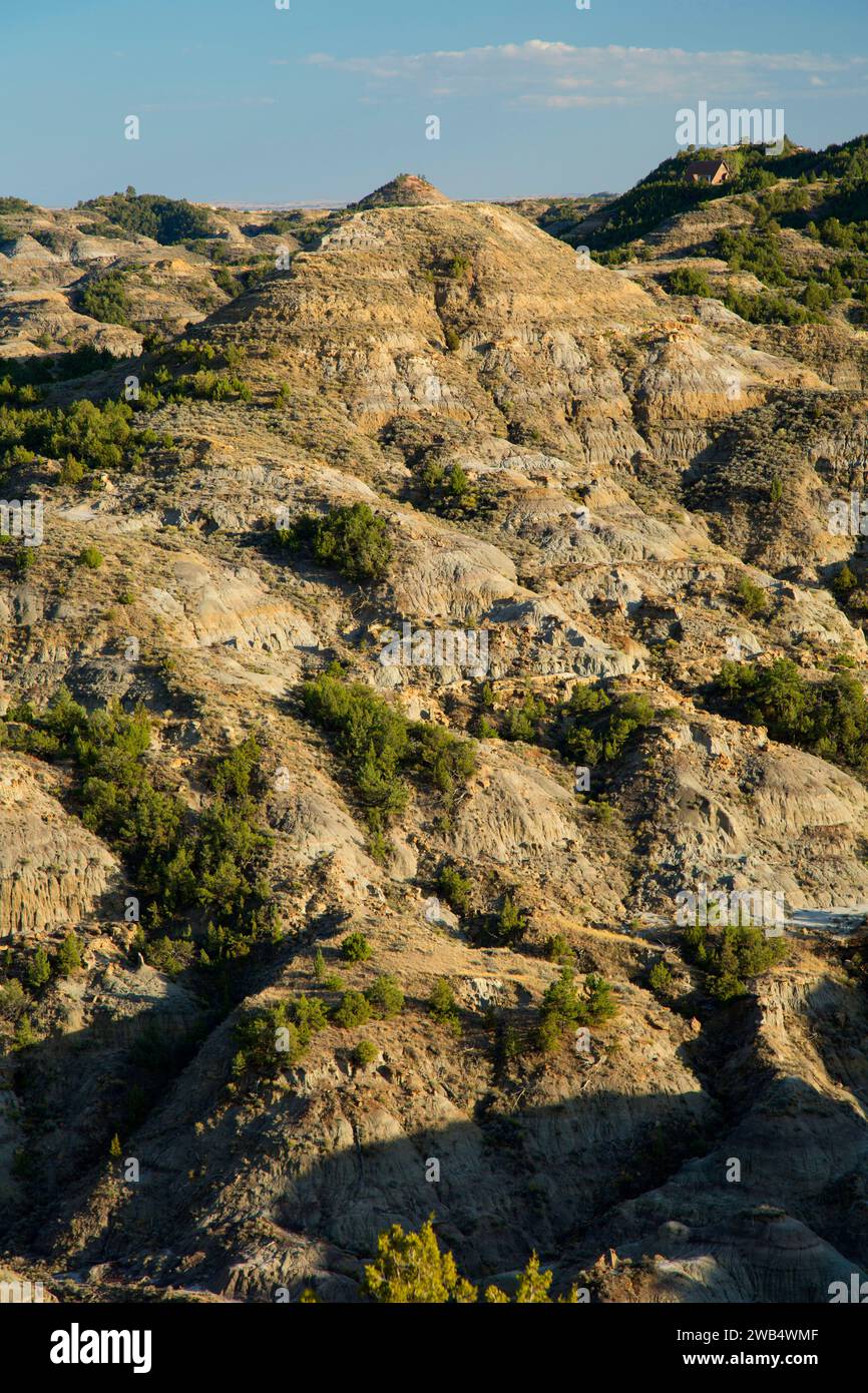 Badlands from Kinney Coulee Trail, Makoshika State Park, Montana Stock Photo Alamy