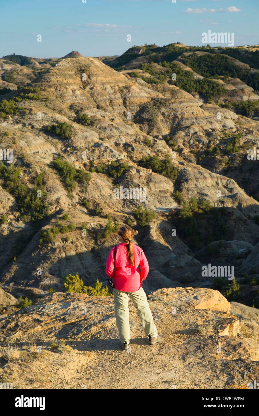 Badlands from Kinney Coulee Trail, Makoshika State Park, Montana Stock Photo Alamy