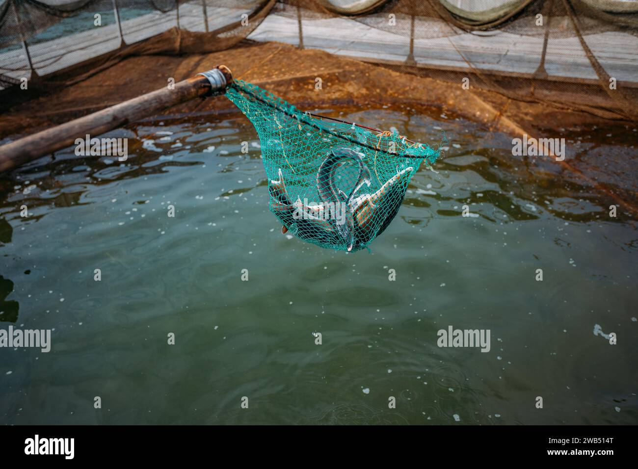 Scoop Net Png - Fishing Nets PNG Transparent With Clear Background
