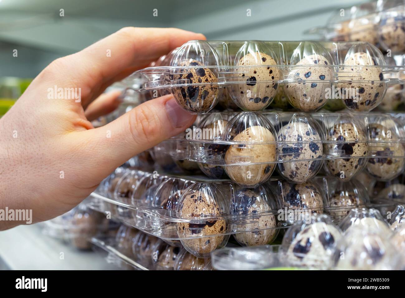 Quail eggs on the store shelf. A customer takes a packaging of quail eggs from a supermarket fridge. Containers of quail eggs in a refrigerator store. Stock Photo