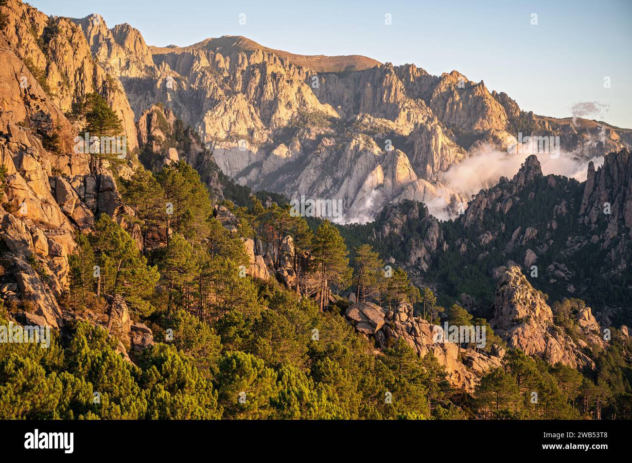 Conifers and mountains at sunrise between I Paliri and Conca, GR20, Corsica, France Stock Photo