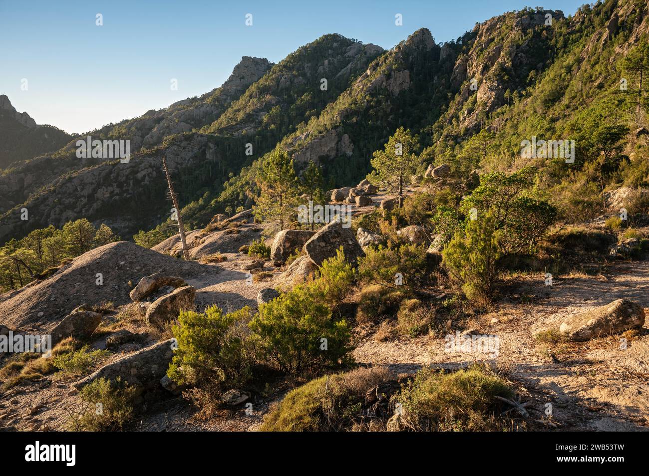 Wooded and mountainous landscape between I Paliri and Conca, GR20, Corsica, France Stock Photo