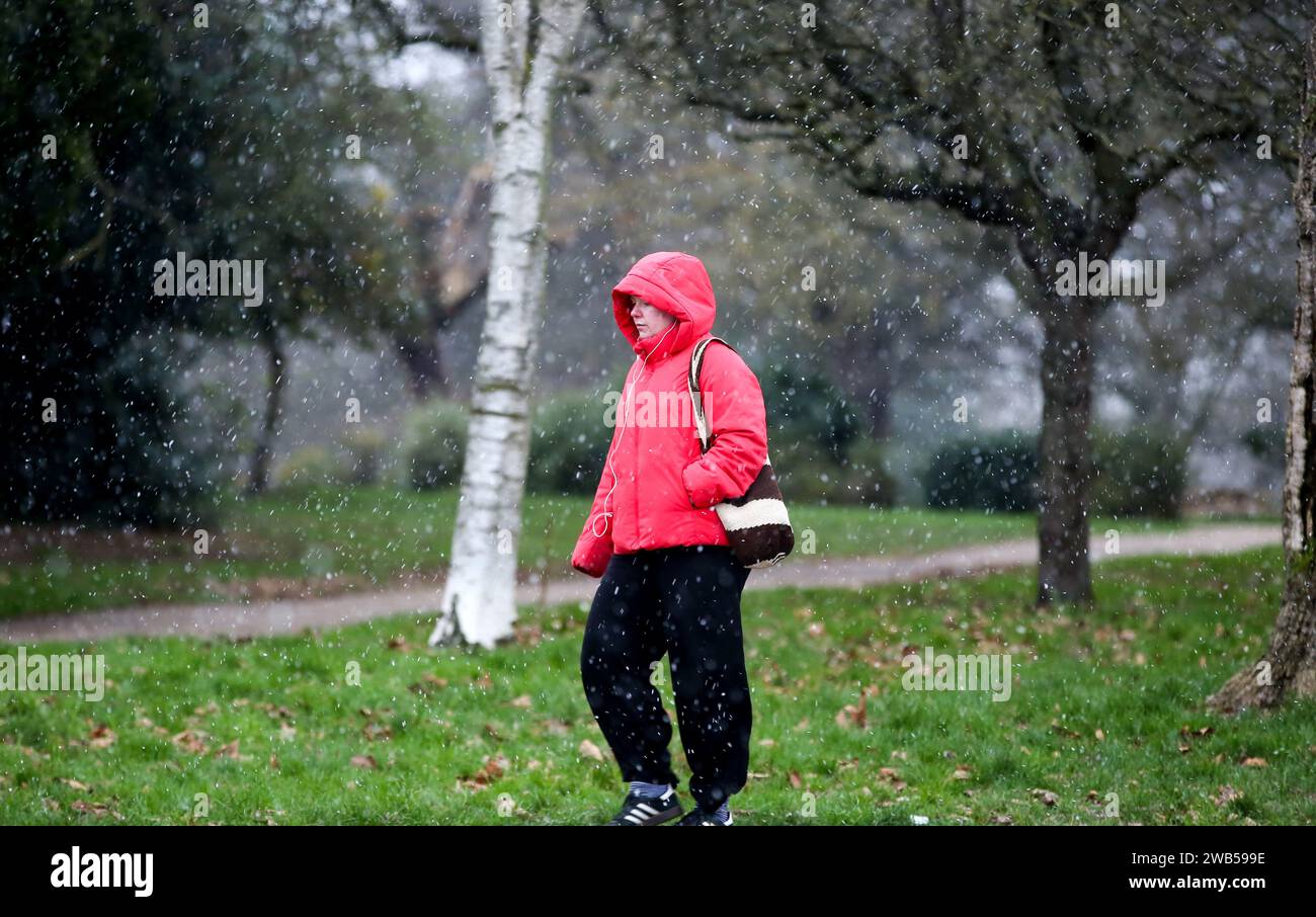 London, UK. 8th Jan, 2024. A woman walks in snow in London, Britain, on