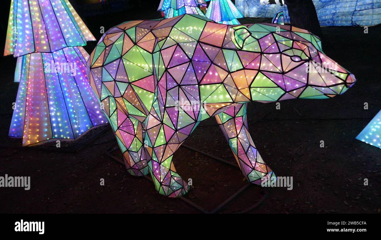 Los Angeles California USA 2nd January 2024 Polar Bear At Zoo Lights   Los Angeles California Usa 2nd January 2024 Polar Bear At Zoo Lights Aglow At La Zoo On January 2 2024 In Los Angeles California Usa Photo By Barry Kingalamy Stock Photo 2WB5CFA 