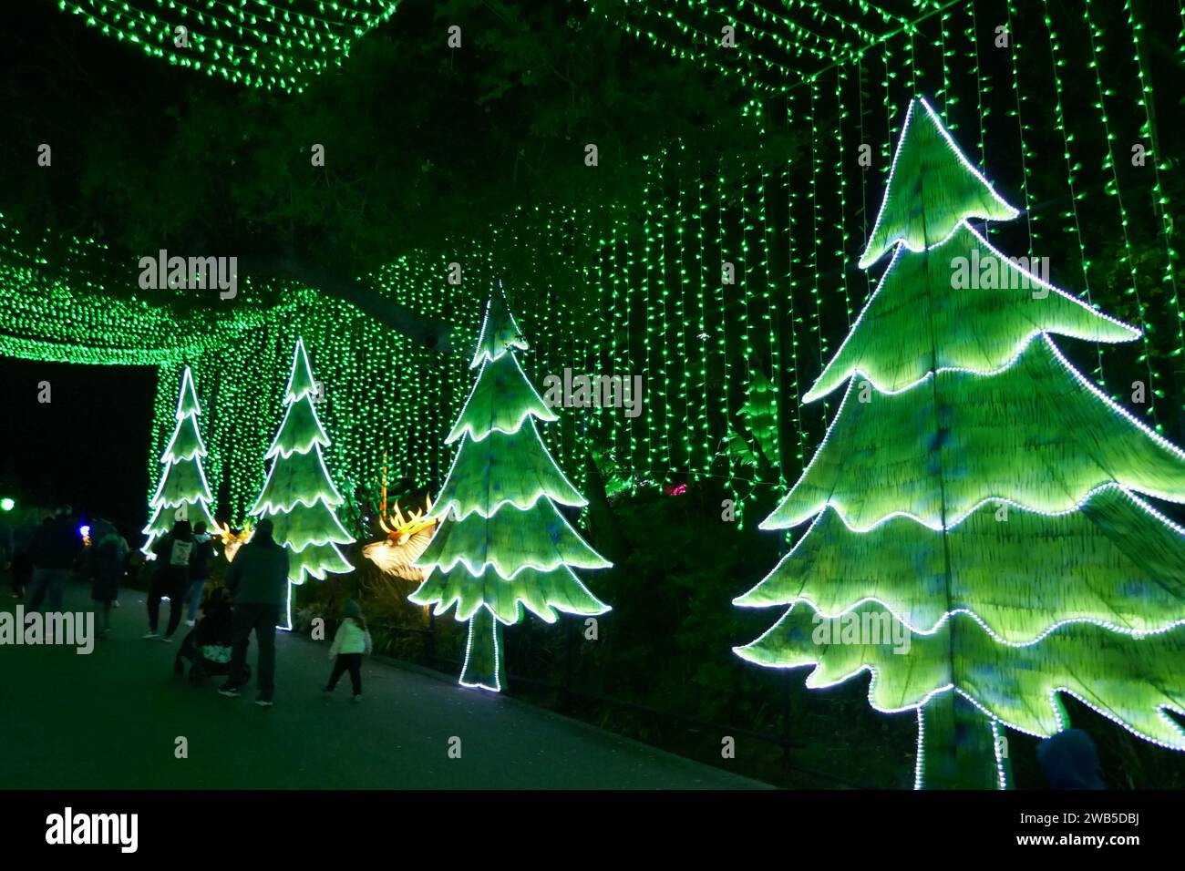 Los Angeles, California, USA 2nd January 2024 Christmas Trees at Zoo
