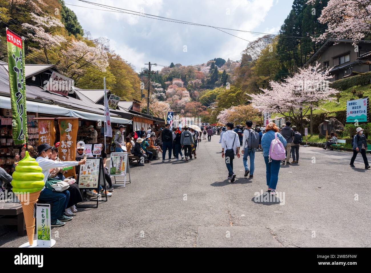 Yoshino District, Nara Prefecture, Japan - April 3, 2023 : Cherry blossoms at Mount Yoshino, Yoshino Station. Stock Photo