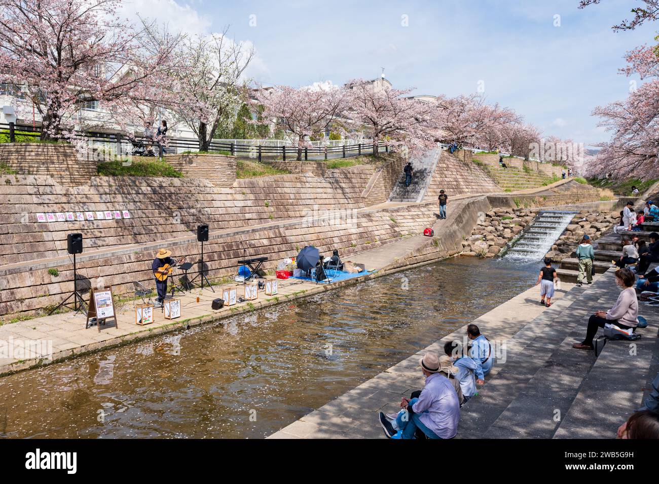 Nara, Japan - April 2, 2023 : People enjoying the Saho River Sakura music events during Cherry blossoms in full bloom. Stock Photo