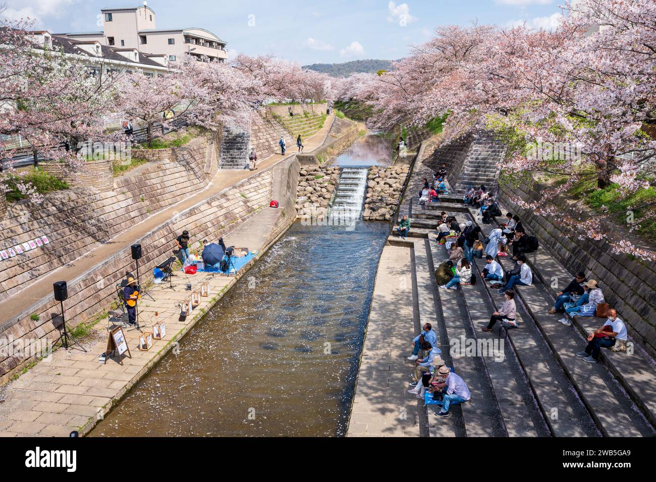 Nara, Japan - April 2, 2023 : People enjoying the Saho River Sakura music events during Cherry blossoms in full bloom. Stock Photo