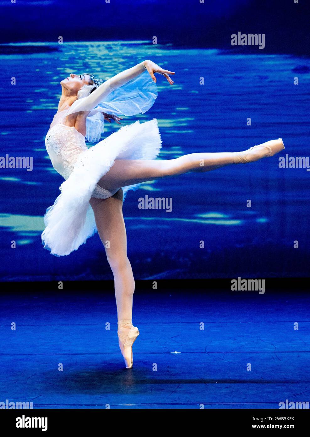 Martina Prefetto(Odette) THE PRINCIPAL DANCERS OF THE VARNA