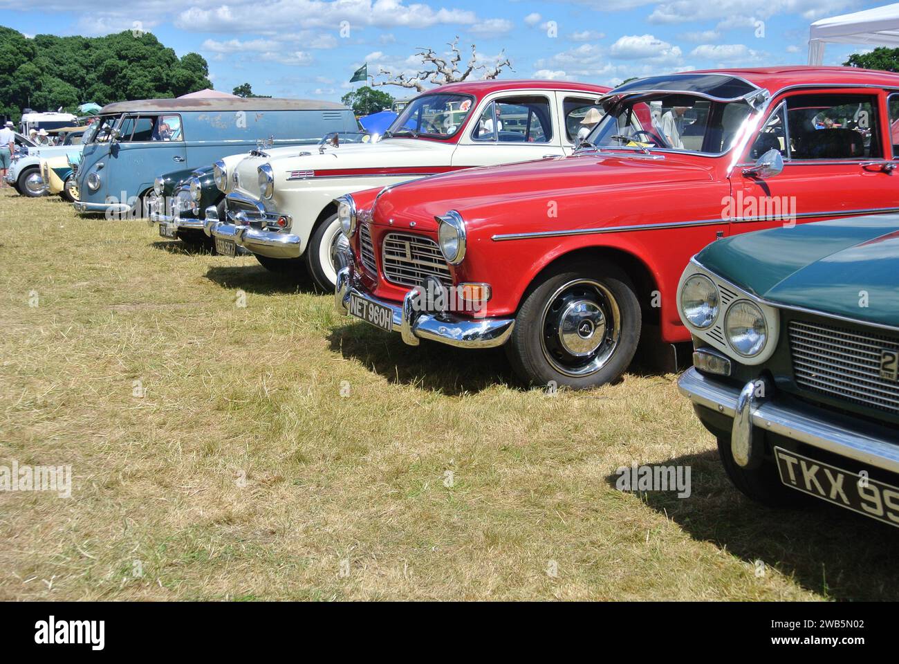 A line of classic cars parked on display at the 48th Historic Vehicle