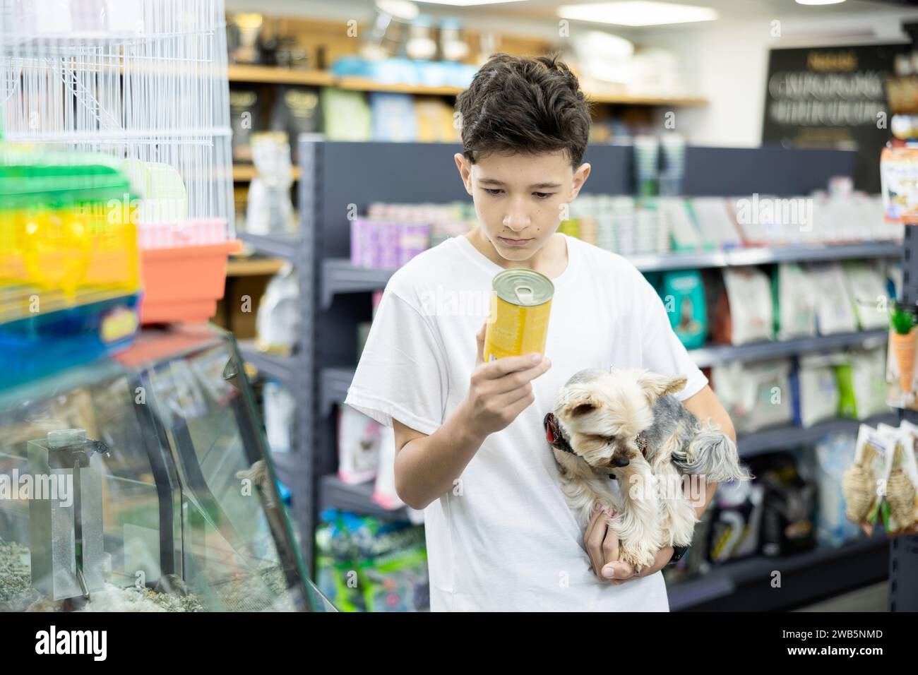 Focused preteen boy choosing canned dog food for Yorkie in pet store