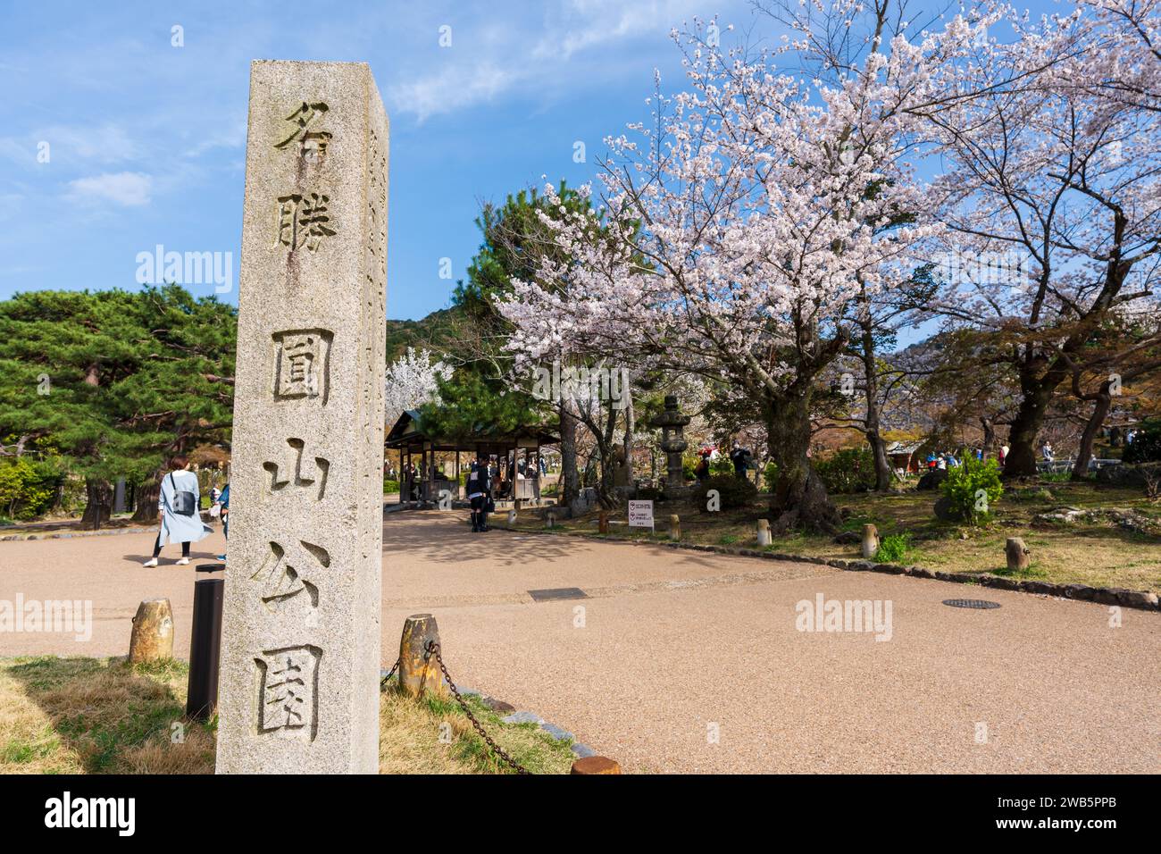 Kyoto, Japan - March 27 2023 : Crowds of people come to cherry blossom festival in Maruyama Park next to Yasaka Shrine in the Higashiyama District. Stock Photo