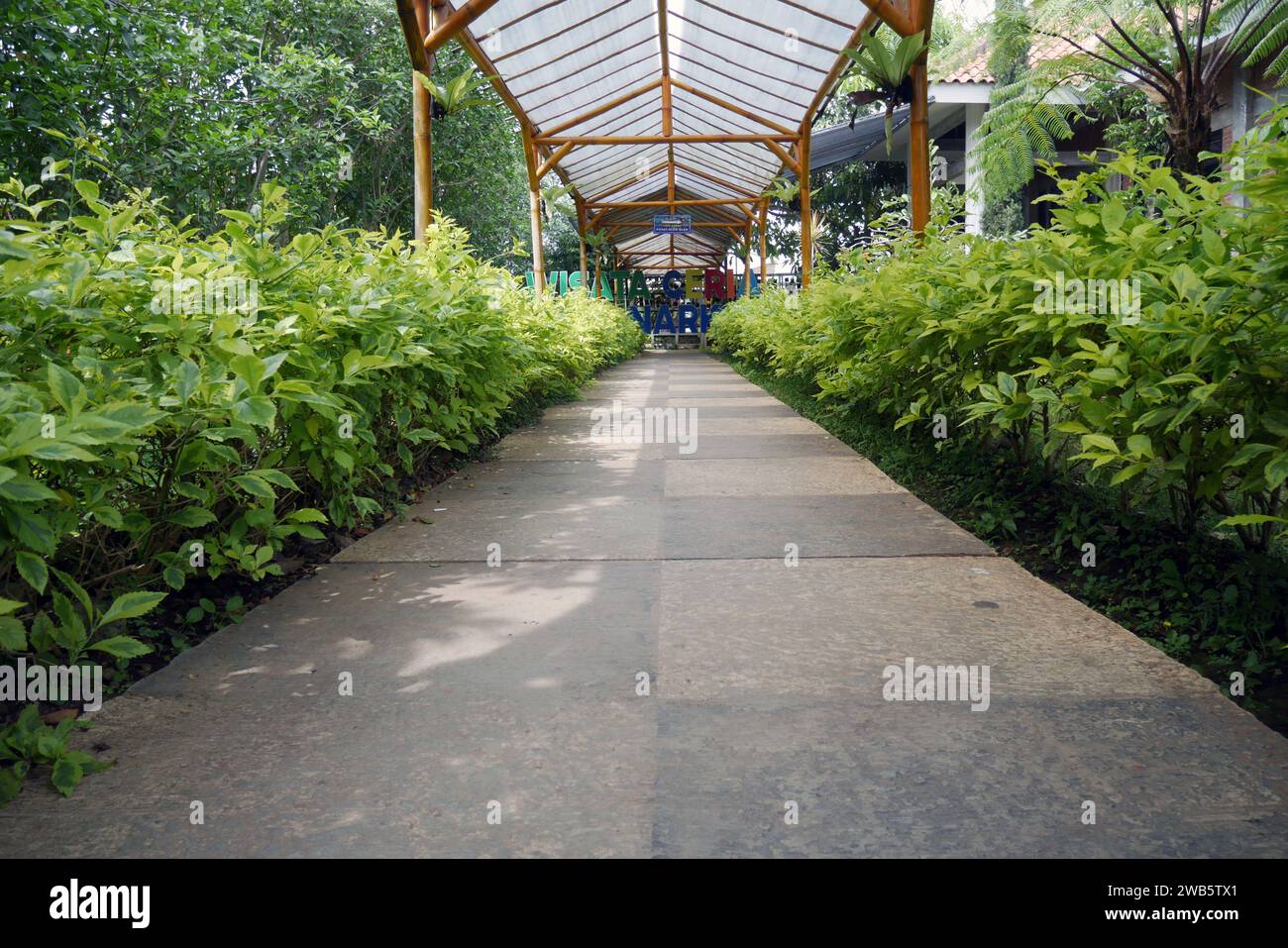 Environmentally friendly paving path with healthy plants around it ...