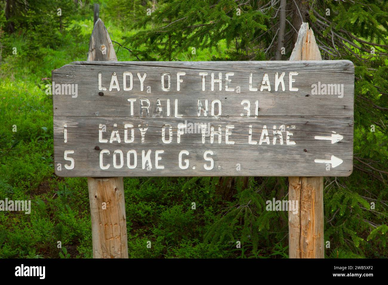 Lady of the Lake Trail sign, Gallatin National Forest, Montana Stock Photo