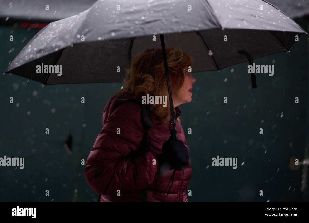 New York New York USA 6th Jan 2024 A Woman Walks With An Umbrella   New York New York Usa 6th Jan 2024 A Woman Walks With An Umbrella Through Brighton Beach In The First Snowstorm In More Than 650 Days Credit Image Edna Leshowitzzuma Press Wire Editorial Usage Only! Not For Commercial Usage! 2WB627R 