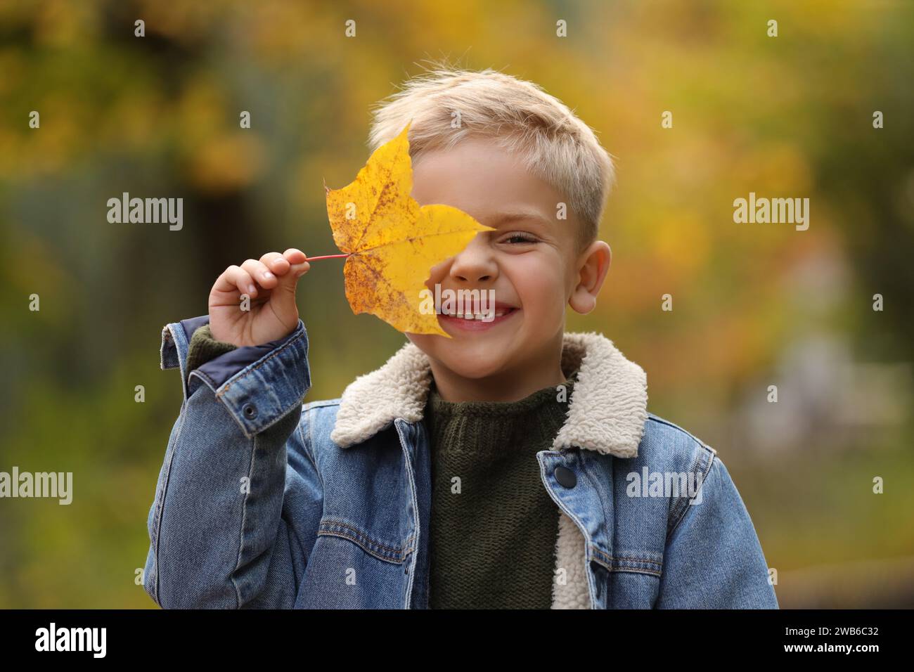 Happy boy covering face with autumn dry leaf outdoors Stock Photo - Alamy