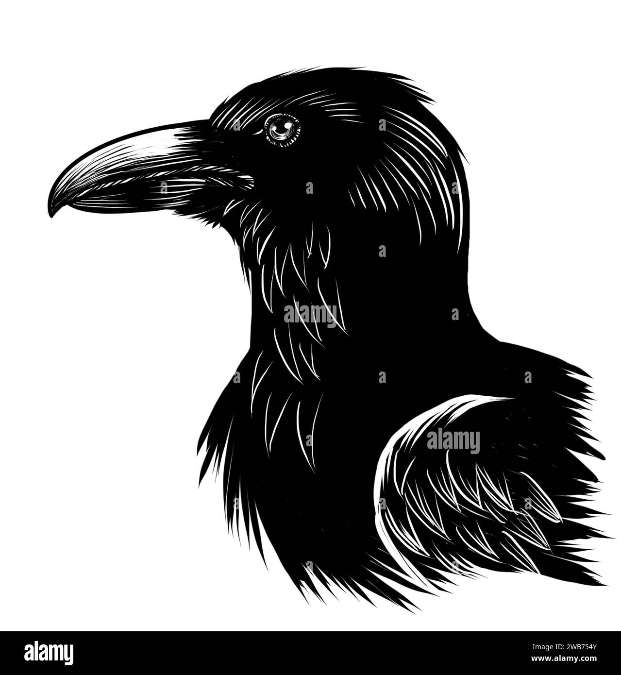 Raven bird head. Retro styled hand-drawn black and white illustration Stock Photo