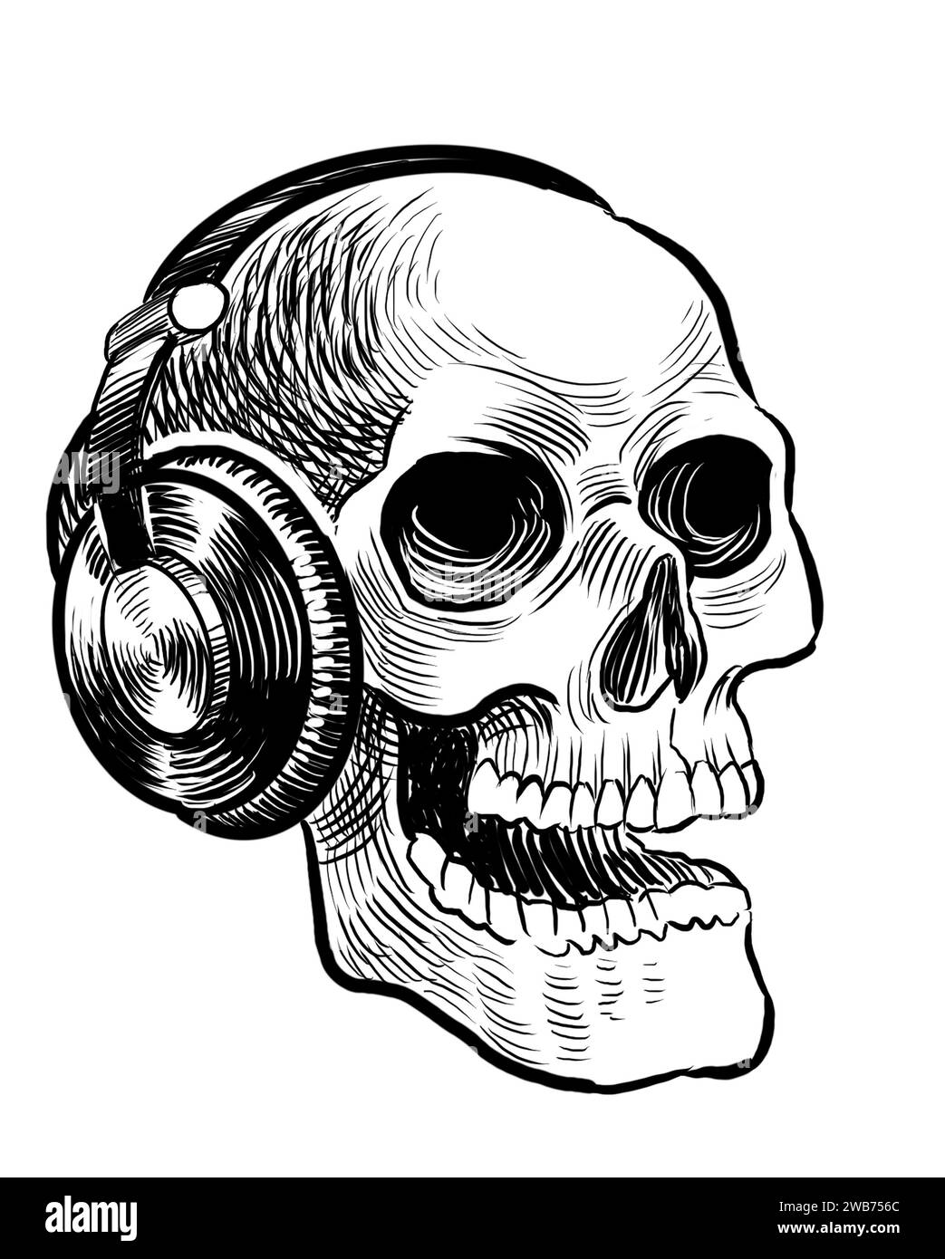 Skull in headphone. Hand-drawn black and white illustration Stock Photo ...