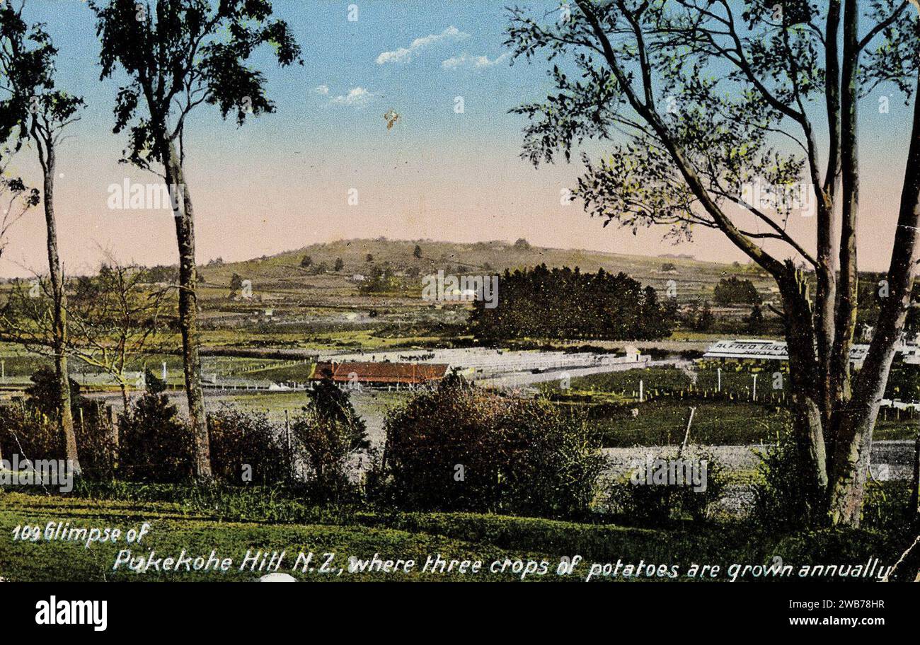 'Glimpse of Pukekohe Hill', ca 1912. Stock Photo