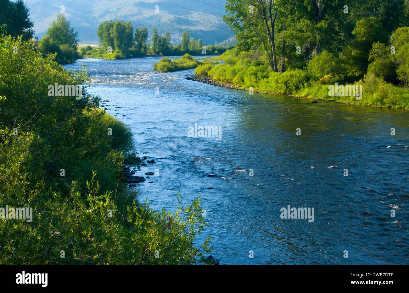 Big hole river jerry creek hires stock photography and images Alamy