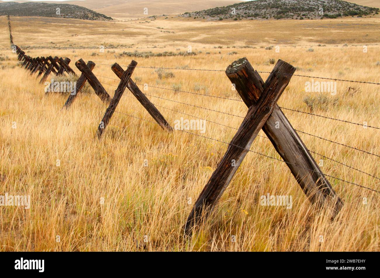 Livestock fence west of Twin Bridges, Dillon Field Office Bureau of
