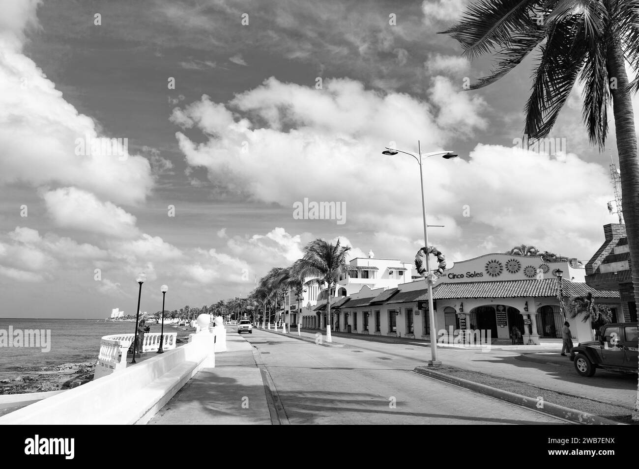 Promenade palm trees seafront Black and White Stock Photos & Images - Alamy