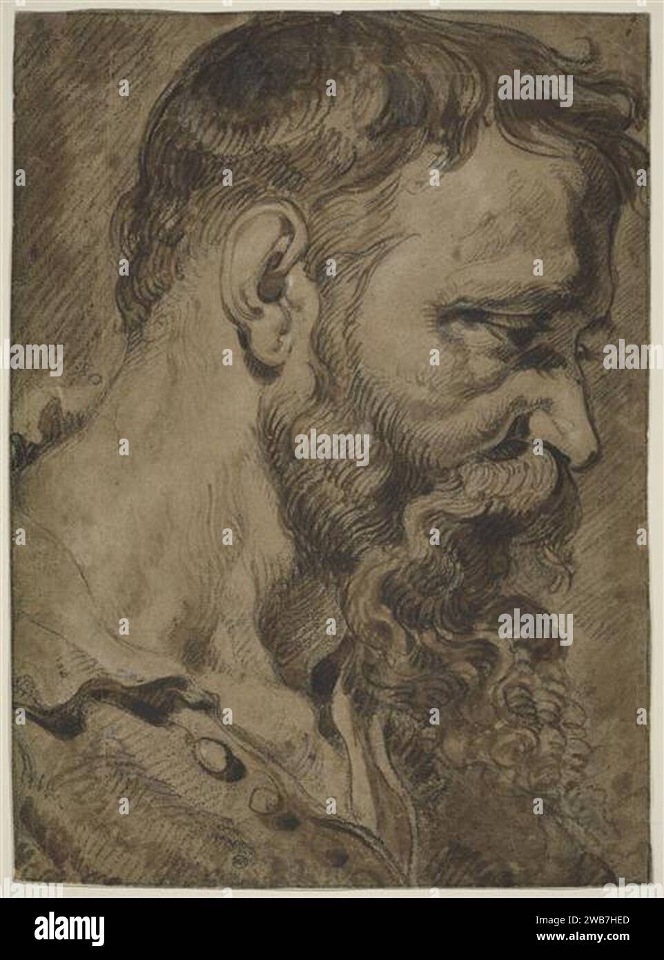 Peter Paul Rubens - Study of a man's head in profile Stock Photo - Alamy