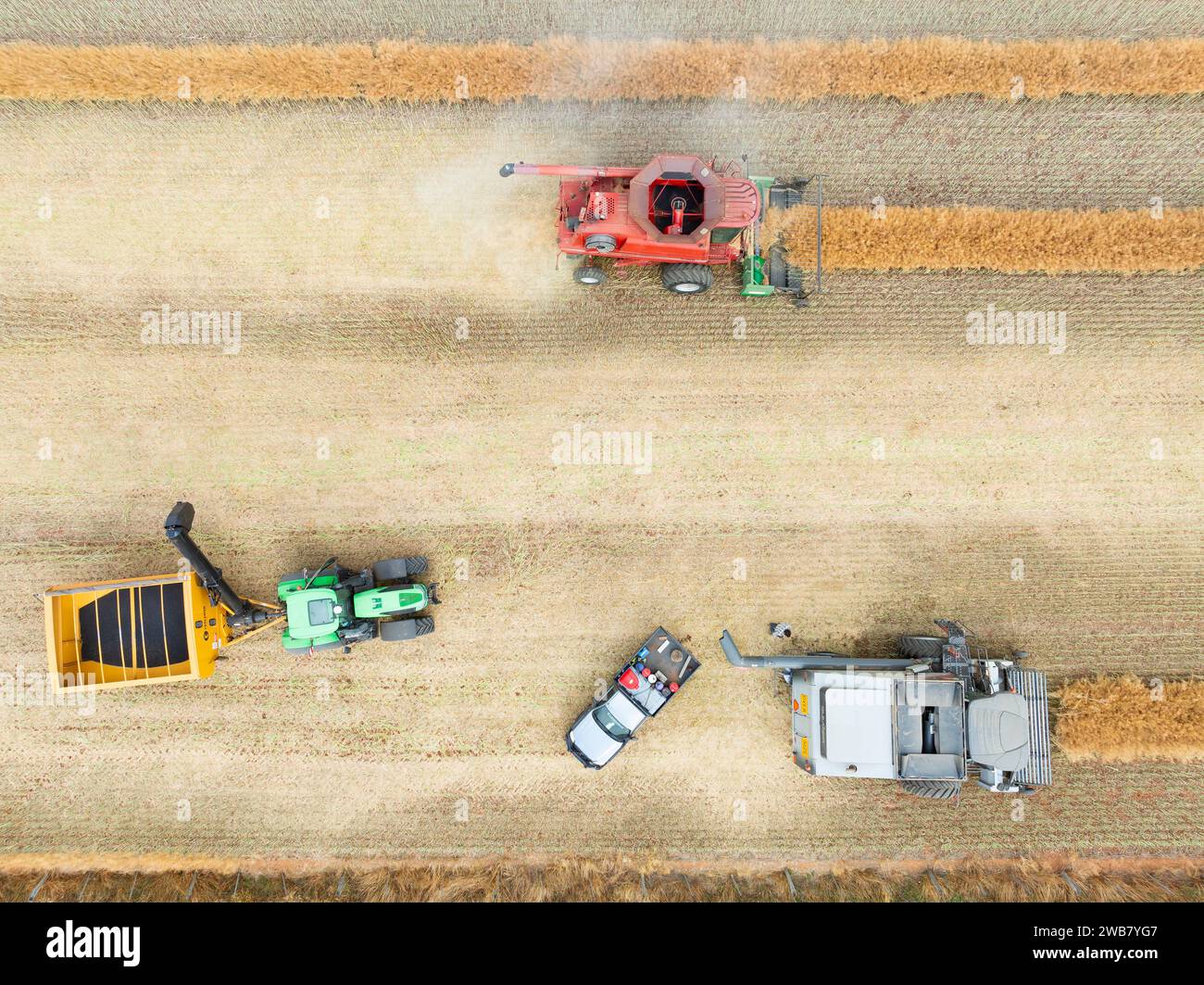 Aerial view of a harvester working in a field at Joyces Creek in Central Victoria, Australia. Stock Photo
