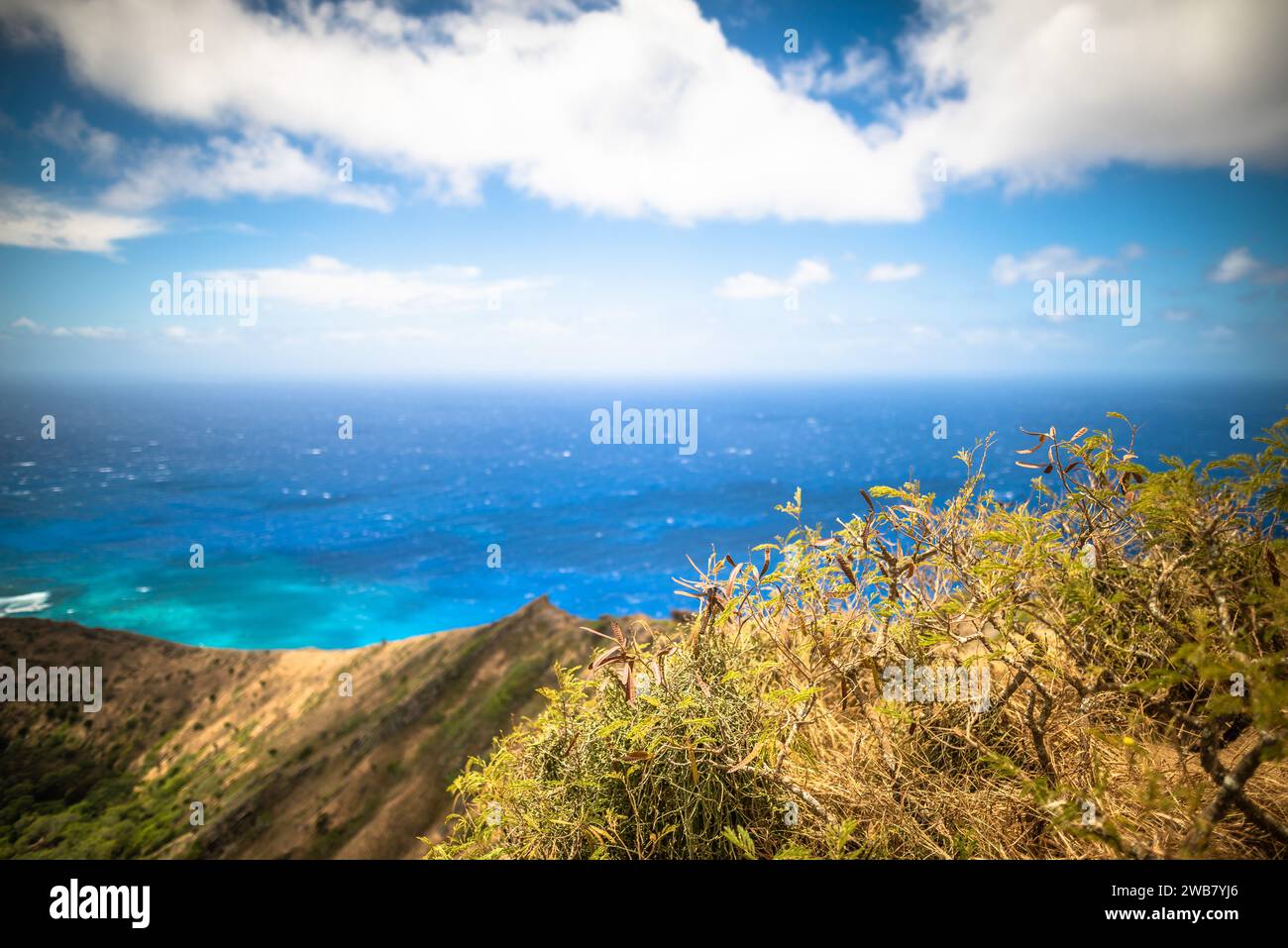 Oahu hi-res stock photography and images - Alamy