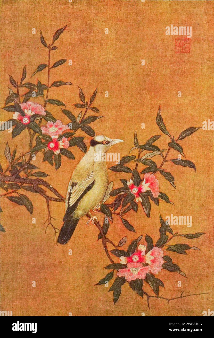 Bird on bough. Attributed to Wang Jo-shun. 50 x 34 cm. from Chinese art : one hundred plates in colour reproducing pottery & porcelain of all periods, jades, lacquer, paintings, bronzes, furniture, etc., etc. by   Hobson, R. L. (Robert Lockhart), 1872-1941 Publication date 1927 Publisher New York : The Macmillan Company Stock Photo