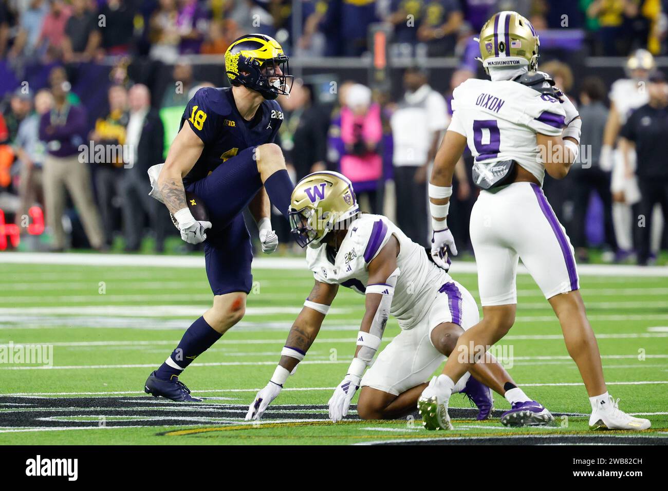 Houston, TX, USA. 8th Jan, 2024. Michigan Wolverines tight end Colston