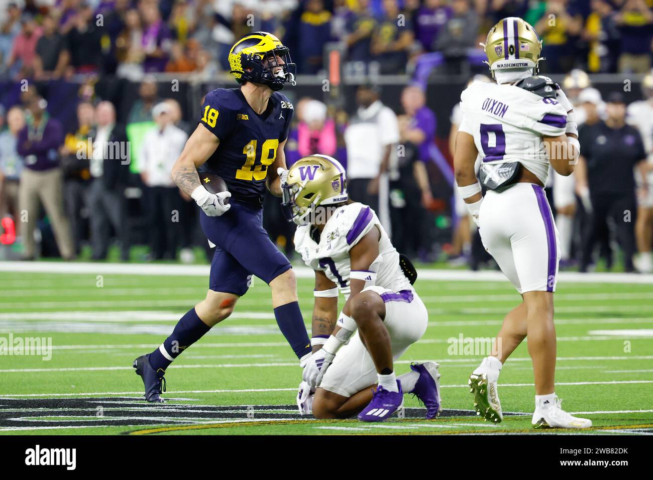 Houston, TX, USA. 8th Jan, 2024. Michigan Wolverines tight end Colston