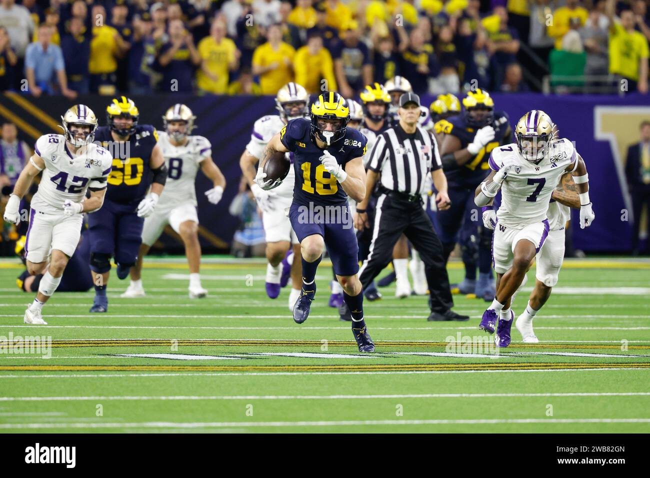 Houston, TX, USA. 8th Jan, 2024. Michigan Wolverines tight end Colston