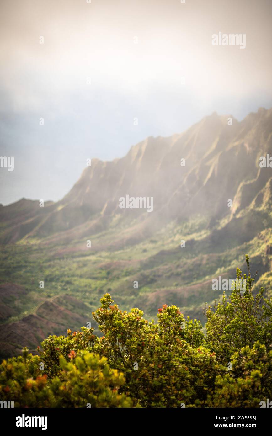 Kauai napali coast Stock Photo - Alamy