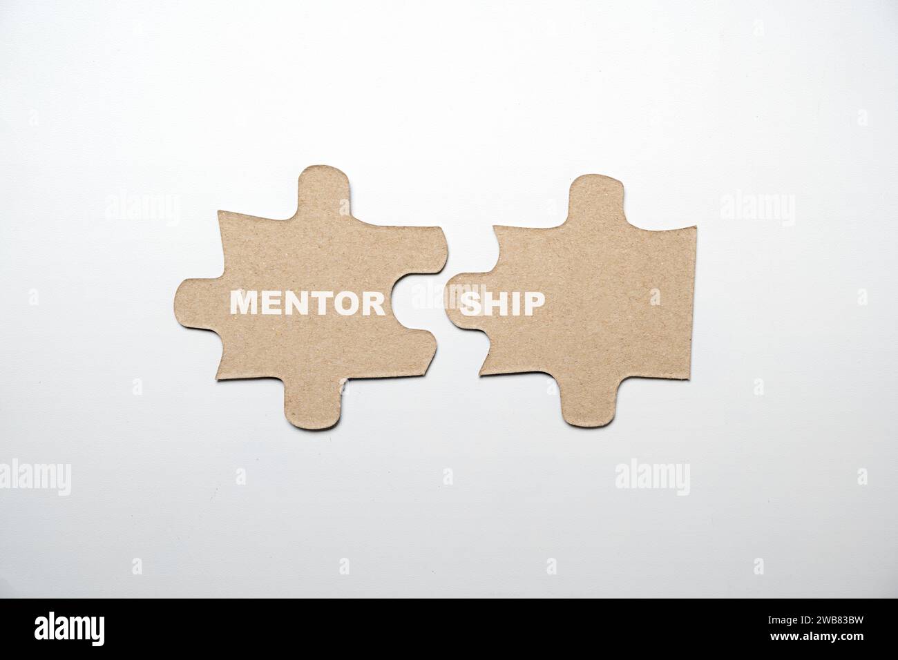 Two pieces of a jigsaw puzzle with Mentorship text over a white background. Business and mentoring concept Stock Photo