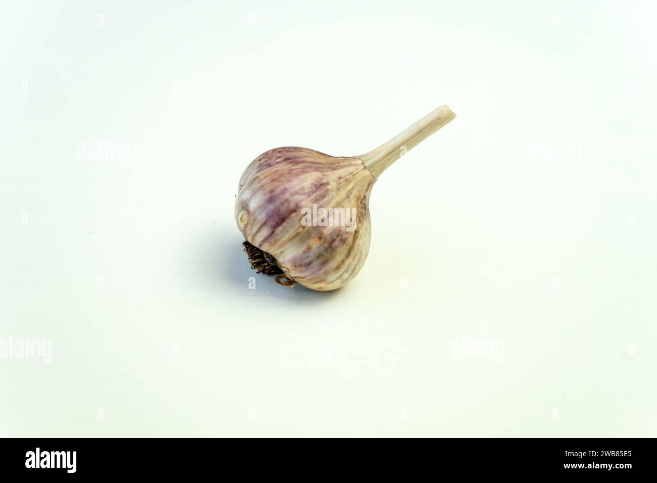 Raw garlic on white table top view, Stock Photo